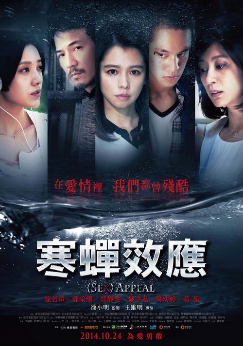 报考成人高考毕业证丢失怎么办